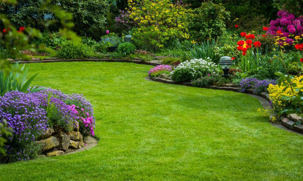 Profesyonel Bahçe Bakımı