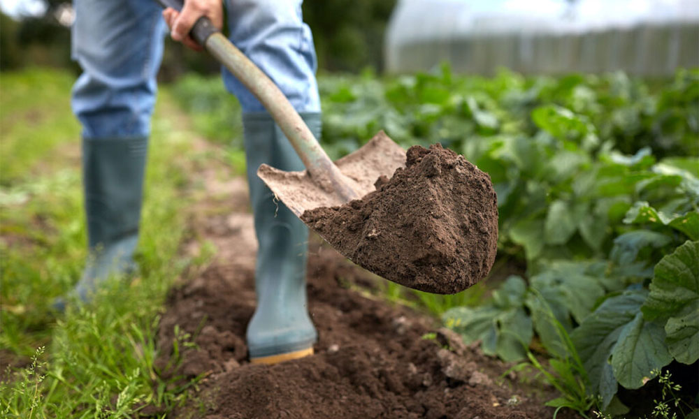 Bahçe Toprağı Bakımı